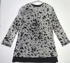 Item thumbnail for item 4cf6c520-affe-4a95-b971-3748e6d9616d