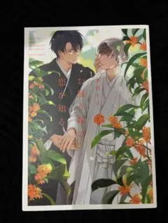 お飾り嫁は恋を知る