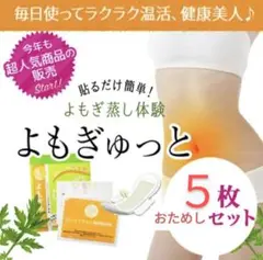 5枚☆よもぎゅっと　温活　ホットナプキン　よもぎ蒸し　よもぎ温座パット