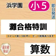 浜学園　小５　算数　灘中合格特訓　確認テスト　１年分