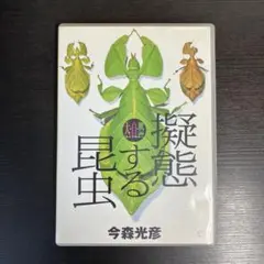 大自然ライブラリー 擬態する昆虫 今森光彦 DVD ポストカード付 昆虫 虫