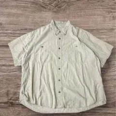 Cabela's Chambray ストライプ柄半袖 シャツ2XL