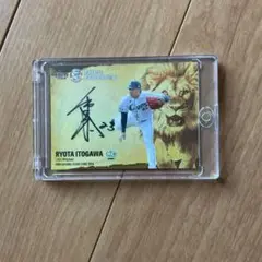 糸川亮太サインカード
