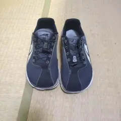 アルトラ ALTRA ONE