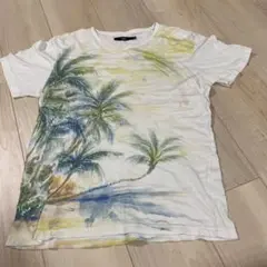 Ciaopanic 水彩画パームツリーTシャツ M