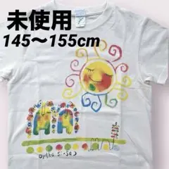☆未使用☆1回お洗濯☆沖縄　Tシャツ　YLサイズ　145から155cm
