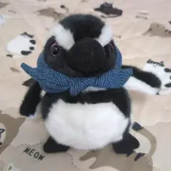 京都水族館、ペンギン