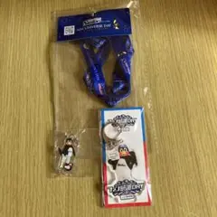 つば九郎キーホルダー、チケットホルダー、チャームセット