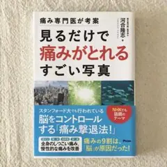 痛み専門医が考案 見るだけで痛みがとれるすごい写真