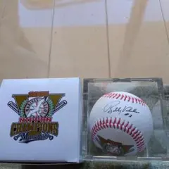 投げ込み直筆サインボールバレンタインver. m53613771498_1.jpg?1672805878