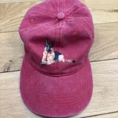 アニマル キャップ