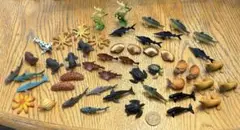海の生き物フィギュア