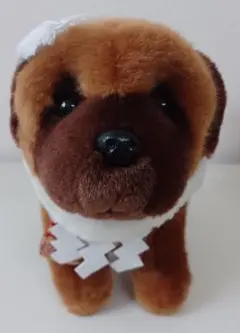 土佐犬　ぬいぐるみ　土佐闘犬センター