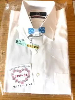 Item thumbnail for item e93b2233-ac2d-4159-9c39-475cdedad955