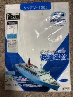 Item thumbnail for item 665fc3f6-35e5-4a0e-bf10-cd2905614c35