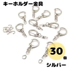 キーホルダー ナスカン シルバー 金具 30個 フック チェーン