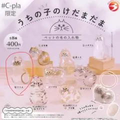 うちの子のけだまだま　シャム