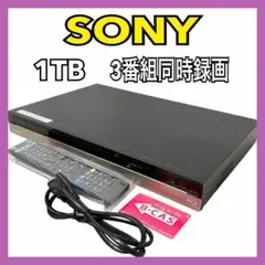 Item thumbnail for item 845cef92-7d61-4ca4-881e-f66ff9e19e11