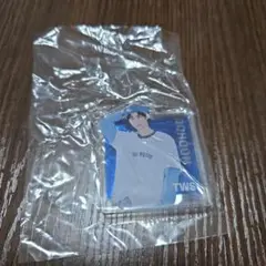 TWS ガチャポン ドフン