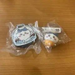 くら寿司 ハチワレ