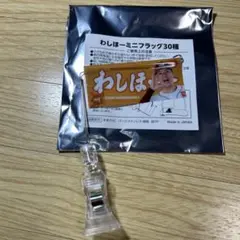楽天イーグルス　わしほーミニフラッグ #6 村林一輝選手　　非売品
