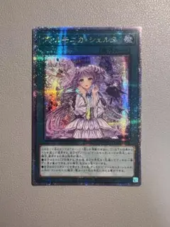2025年最新】ヴァルモニカ・シェルタ アジアの人気アイテム