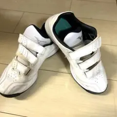 ミズノ 野球トレーニングシューズ　ライトレボ トレーナー 25cm
