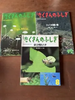 福音館書店　たくさんのふしぎ　3冊セット