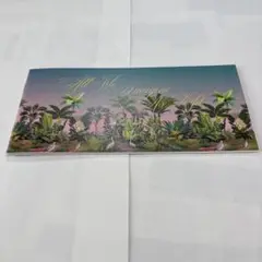 私たちが光と想うすべて 映画パンフレット