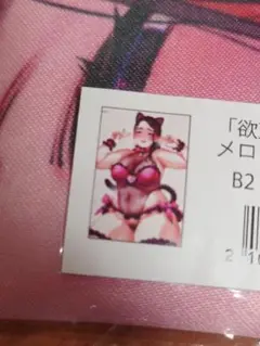 欲望パンドラ 4 メロンブックス限定版 特典 B2タペストリー リーフレット