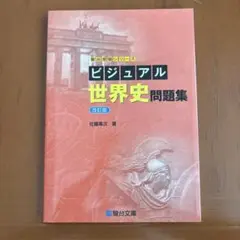 ビジュアル世界史問題集 改訂版