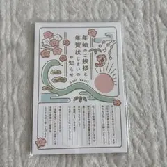 年賀状じまい2025（新年お知らせ）私製10枚入り【特選デザイナーズ