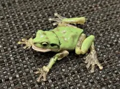 Item thumbnail for item 3d084863-2b73-431e-83c8-84f8966f9308