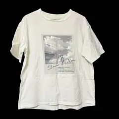 AZUL レディース プリントTシャツ フリーサイズ
