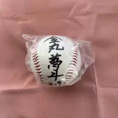 金丸夢斗選手 直筆サインボール プロ初勝利 金丸夢斗投手 直筆サイン ロゴ球 - メルカリ