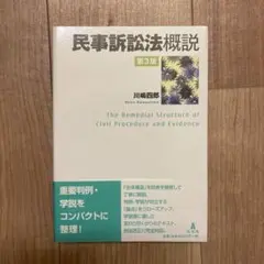 民事訴訟法概説