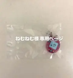 専用ページ