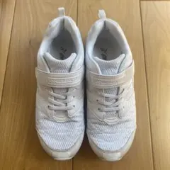 瞬足　24.0EE 白　3か月使用