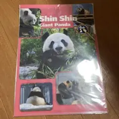 ジャイアントパンダ　シンシン　リーリークリアファイル