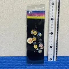 ディズニーリゾート25周年ストラップ #