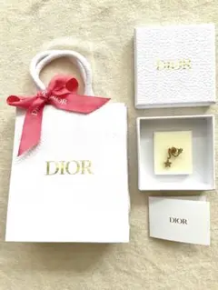 Dior ディオール PETIT CD スターチャーム ピアス 片耳
