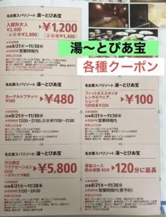 東海ウォーカー 2025秋 湯〜とぴあ宝　施設利用券　⭐️おまけつき♪