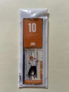 日向翔陽 アクリルキーホルダー 10番