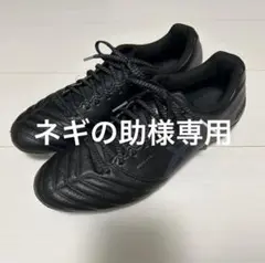 asics dslight x-fly pro 26cm