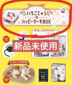 Item thumbnail for item a692a868-2fab-4c41-8449-91d75e3f05d9