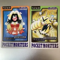 ポケモンカードダス　ルージュラ エレブーのセット
