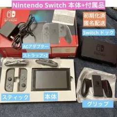 Nintendo Switch グレー本体＋付属品セット