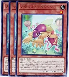 ナチュルモリクリケット ナチュル・モリクリケット 字レア 3枚　15688
