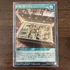 Item thumbnail for item acaaacee-ddde-497c-bd60-2ccde3587626
