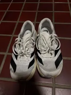 adidas EVO SL 25.0